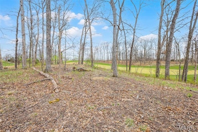 118 Summer Grace Ln, Weldon Spring, MO 63304 - photo 3