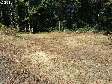 0 Two Lakes Ln unit 10 15115082, Triangle Lake, OR 97412 - photo 5