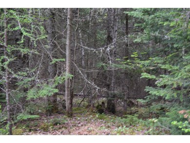 5 Abigails Cir, Jefferson, NH 03583 - photo 7