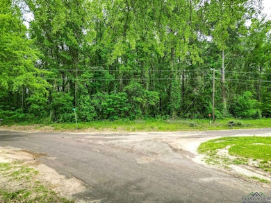 TBD Giraffe Rd, Gilmer, TX 75644 - photo 2