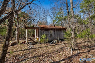 80 ACRES Upper Hurricane Rd, New Market, AL 35761 - photo 7