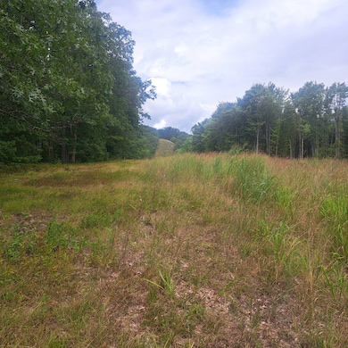 297 Big Bridge Hollow Rd, Little Marsh, PA 16950 - photo 3