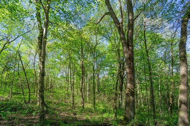 33885 W. Buckingham Rd-02330