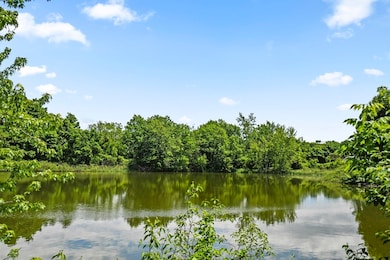 1105 Lexington St unit 102, Waltham, MA 02452 - photo 5