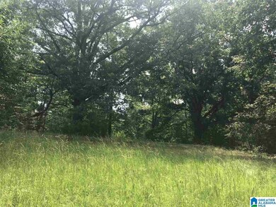 8346 Cedar Mountain Rd unit 5 & 6, Pinson, AL 35126 - photo 6