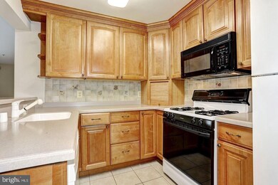 9111 Gracious End Ct unit 204, Columbia, MD 21046 - photo 7