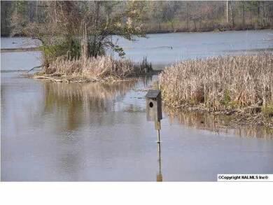 225 Monterey Cir, Gadsden, AL 35901 - photo 4