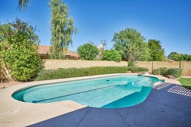 Backyard3