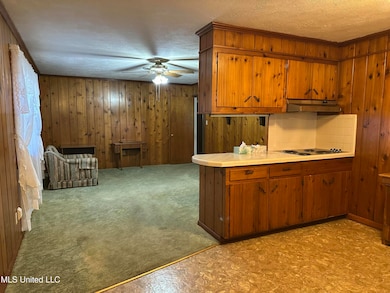 309 S Shields Ln, Natchez, MS 39120 - photo 5