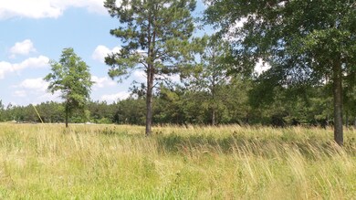 172 Dykes Rd, Soso, MS 39480 - photo 4