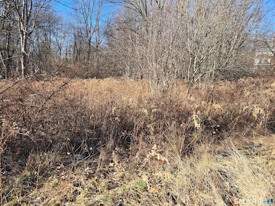 (Map 12, Lot 80A) Hubbard St, Middlefield, CT 06455 - photo 4