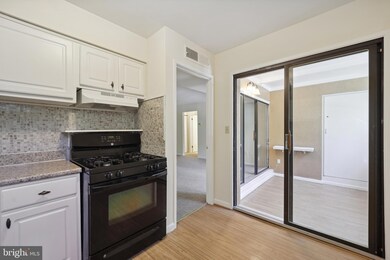 5870 Thunder Hill Rd unit B2, Columbia, MD 21045 - photo 5