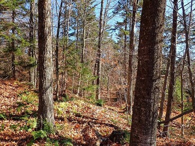 00 Fisher Rd, Roxbury, VT 05669 - photo 3