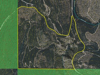 Nhn Two Creeks, Marion, MT 59925 - photo 6