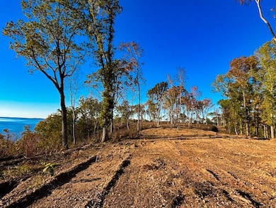 4 Lake Bend Shores, Florence, AL 35633 - photo 3