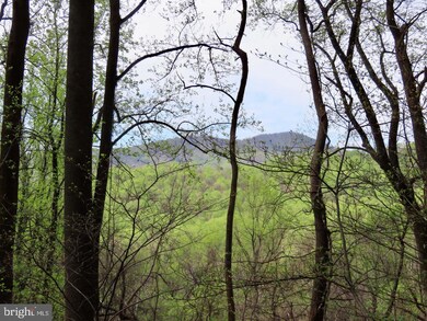 0 Gid Brown Hollow Rd unit VARP2000844, Washington, VA 22747 - photo 3