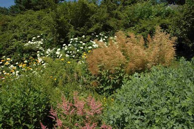 18 Tennis Ln, Moultonborough, NH 03254 - photo 6