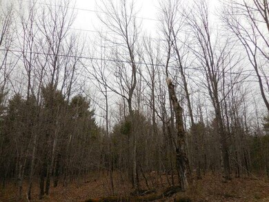 Stetson Land 3