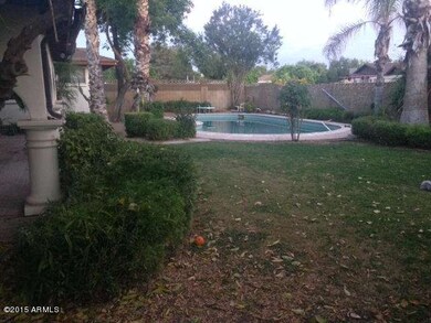 gemini backyard