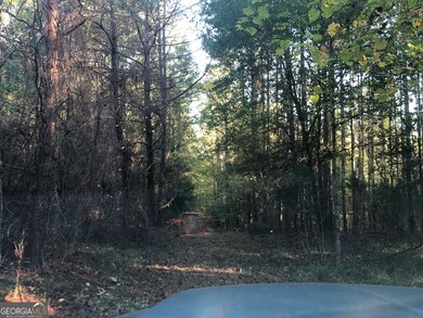 LOT 10 Triune Mill Rd, Thomaston, GA 30286 - photo 6