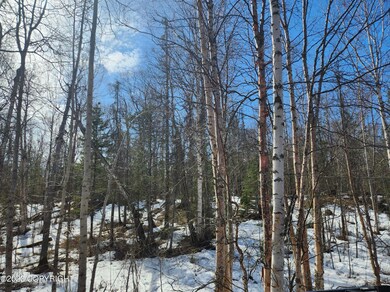 Pic of 4.3 acres 2