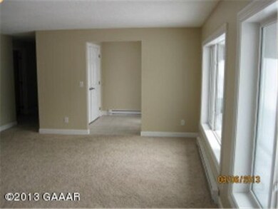 120 Mcfarlane St NW, Alexandria, MN 56308 - photo 5