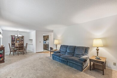 35 Nathan Ln N unit 312, Plymouth, MN 55441 - photo 3