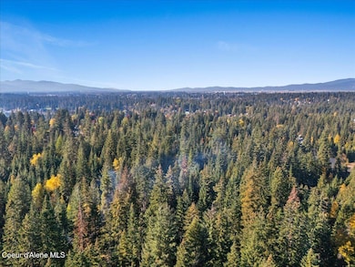 NKA E Point Hayden Dr, Hayden Lake, ID 83835 - photo 6