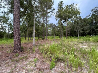 16051 SW 44 St, Ocala, FL 34481 - photo 7