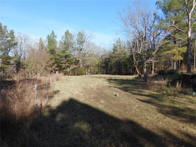 14128 Parker Branch Rd, West Fork, AR 72774 - photo 4