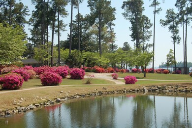 CONDO GROUNDS 2
