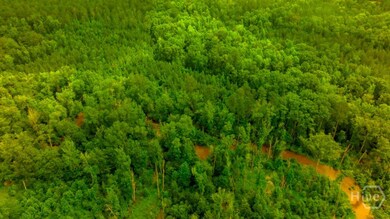 unlisted-address, Sandersville, GA 31087 - photo 2