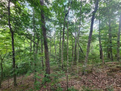 932 Apex Ct, Ranger, GA 30734 - photo 2