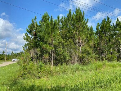 9212 Kiln Waveland Cutoff, Waveland, MS 39520 - photo 4