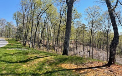 Additional View