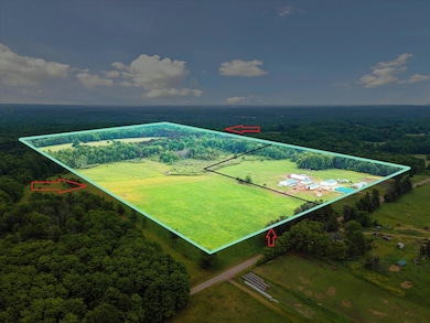 21576 Patterson Rd unit Option B, Tustin, MI 49688 - photo 2