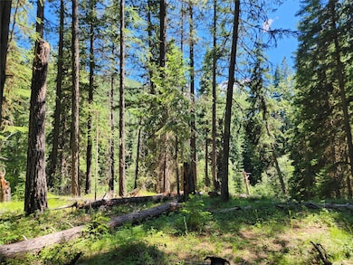 Nhn Silver Butte Rd, Libby, MT 59923 - photo 7