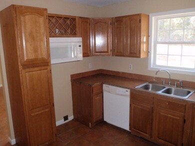 Kitchen View 2