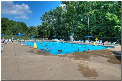 925 Cimarron Oval, Aurora, OH 44202 - photo 2