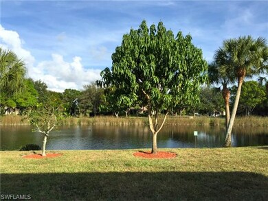 Beautiful lake view from the backyard