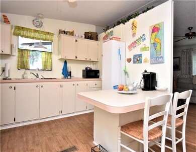 35214 Lindsey Ln, Zephyrhills, FL 33541 - photo 7