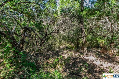 000 Little Mexico Rd, Temple, TX 76504 - photo 7