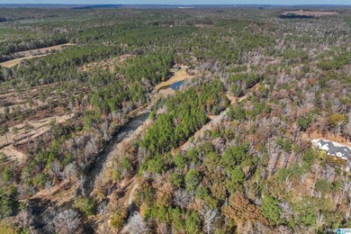 8799 Shades Fall Way, Bessemer, AL 35022 - photo 3