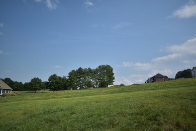 Photo Sep 22 2025, 12 51 11 PM