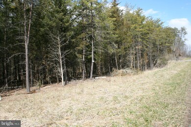 0 Queenship Ln unit 1000141317, Berryville, VA 22611 - photo 5