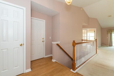 RN5_0943