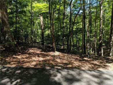 0 Whitney Blvd unit 6 3524207, Lake Lure, NC 28746 - photo 3