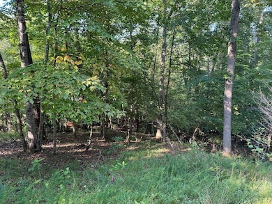 2 Cedar Bluff Ln, Hardy, VA 24101 - photo 2