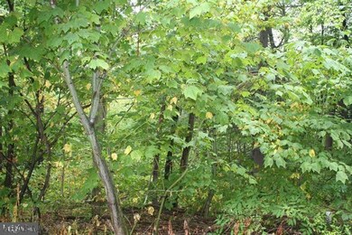 108 Indiana Ave, Bedford, PA 15522 - photo 2