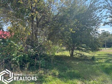 1617 S 18th St, Centerville, IA 52544 - photo 2